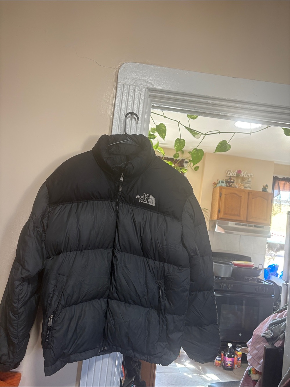 The North Face Men's Black Quilted Down Puffer Jacket